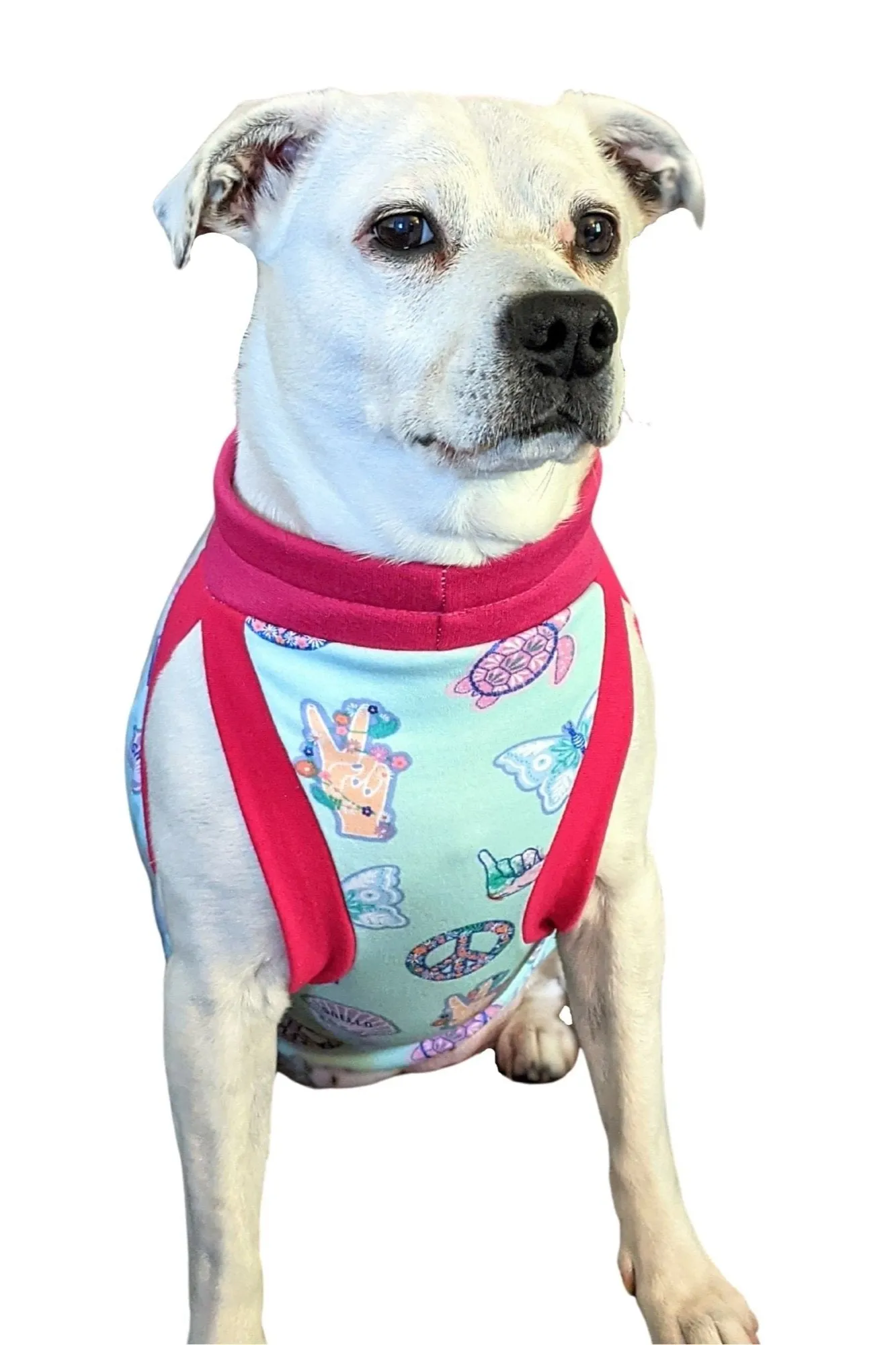 Peaceful Sunset Dog Pajamas