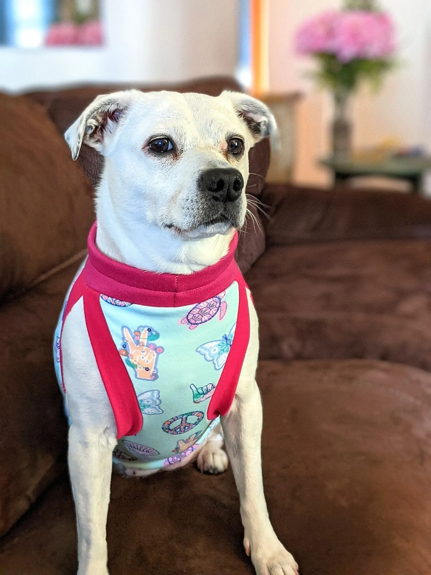 Peaceful Sunset Dog Pajamas