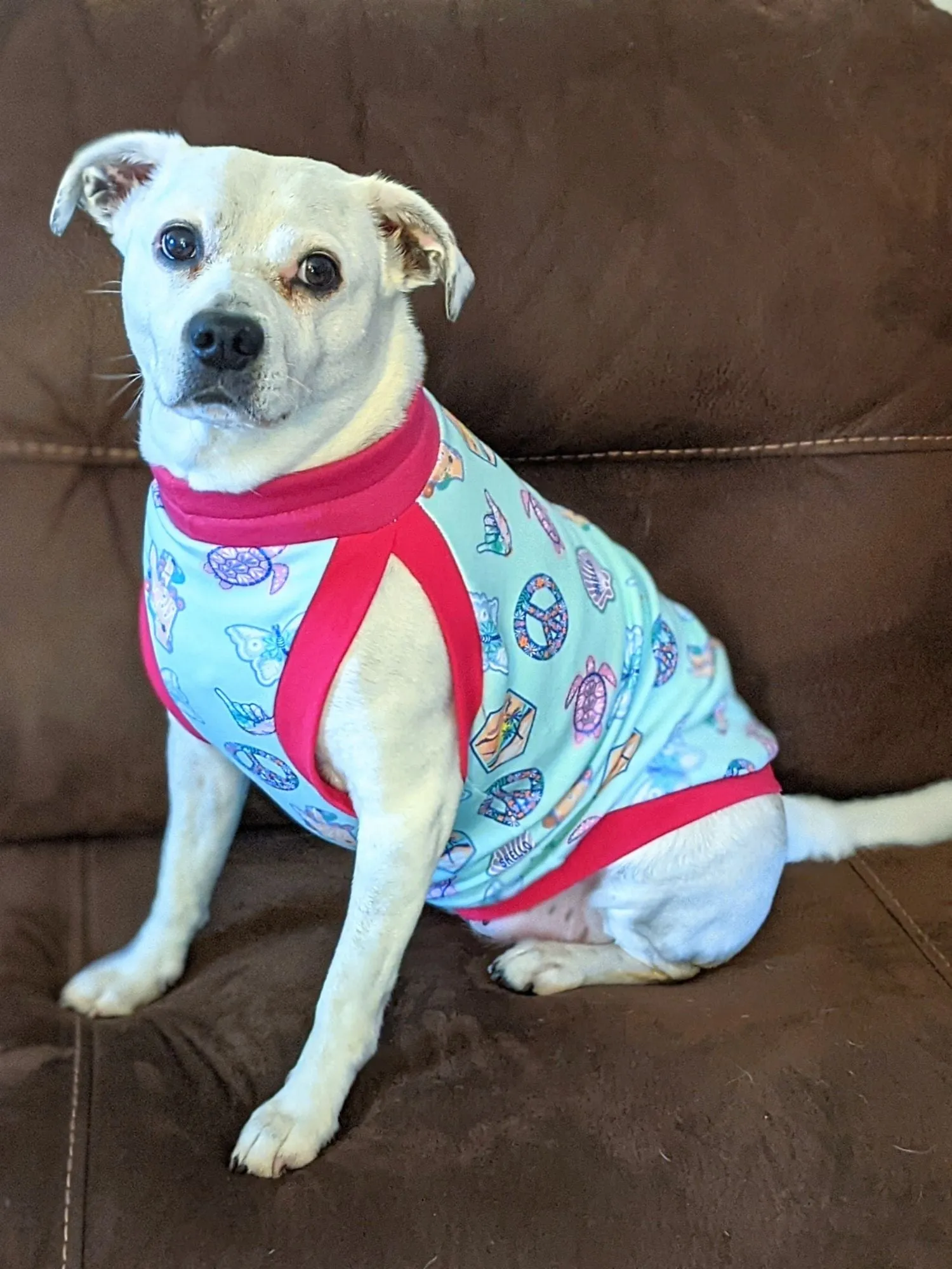 Peaceful Sunset Dog Pajamas